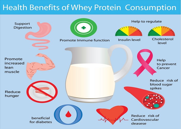 Calcium, Carbohydrates, Vitamins, Proteins and other necessary dietary